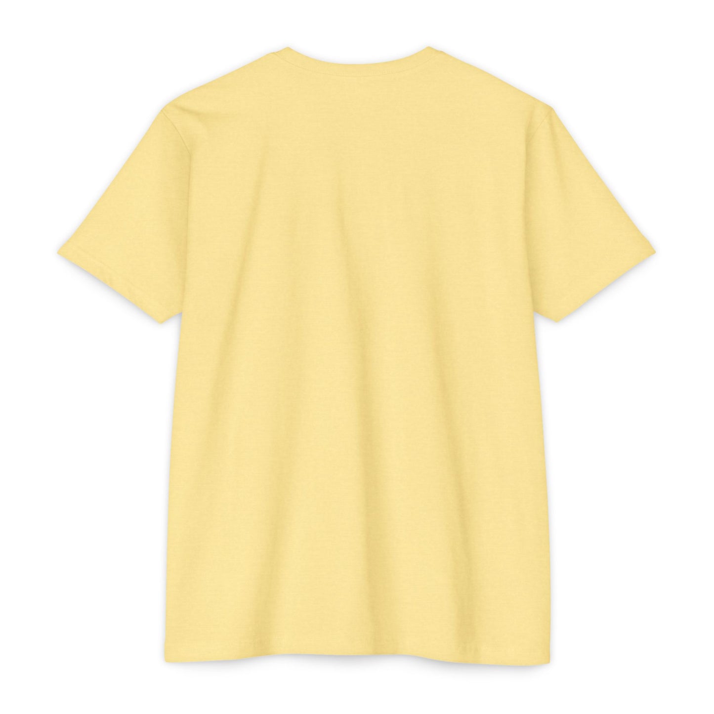 "Haters always Hating” Graffiti Streetwear Tee – Next Level 6210